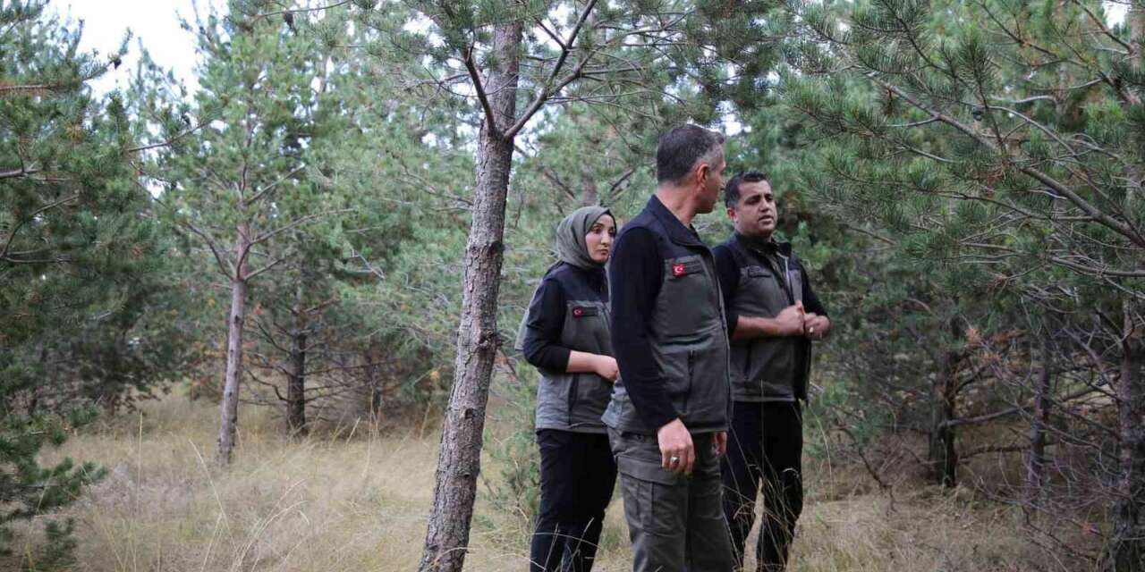 Kars’a yeni yeşil yaşam alanı geliyor: Kent ormanı için düğmeye basıldı