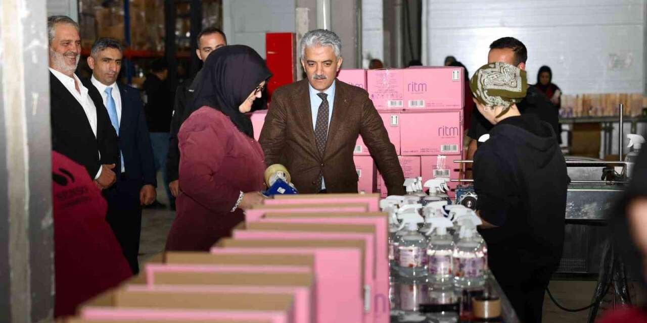 Vali Makas, üretim yapan fabrikaları inceliyor