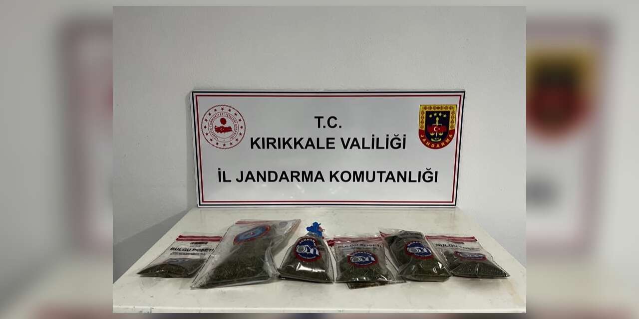 Narkotik köpeği "Evin" uyuşturucuyu tespit etti: Bahçede kenevir ve esrar ele geçirildi