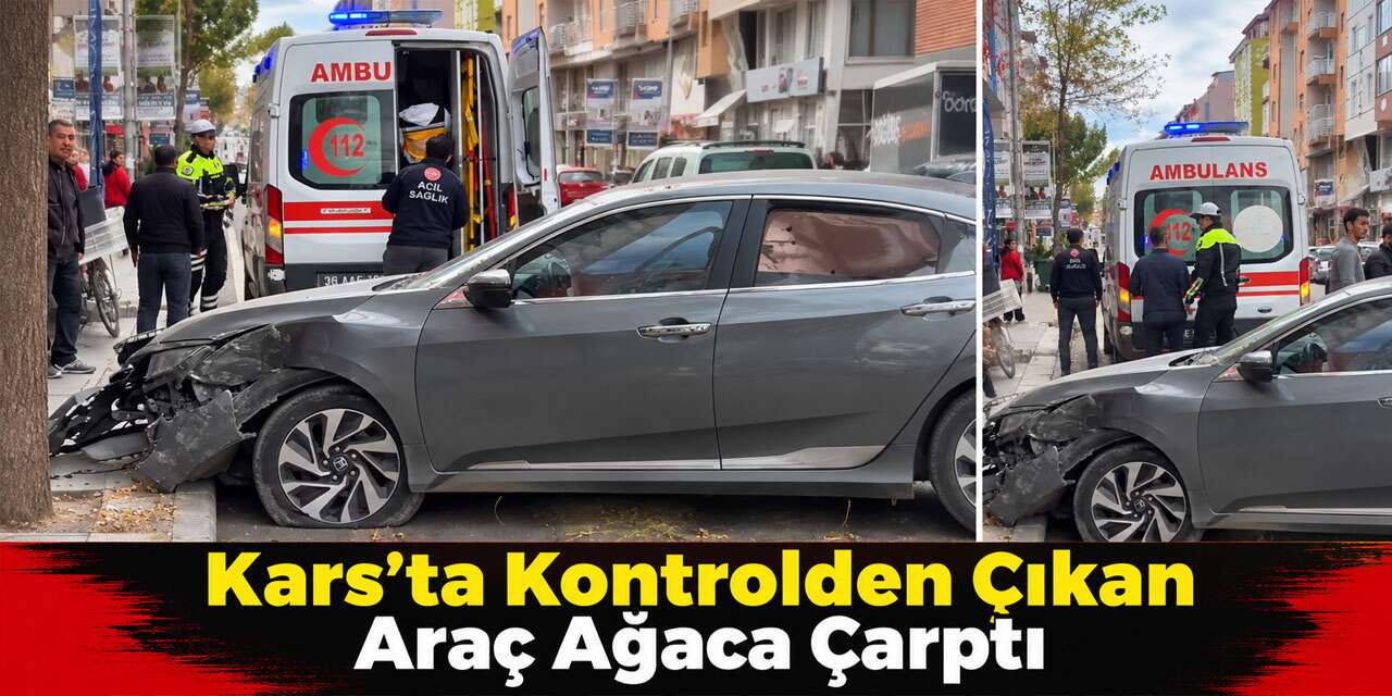 Kars’ta Kaldırıma Çıkan Otomobil Ağaca Çarptı