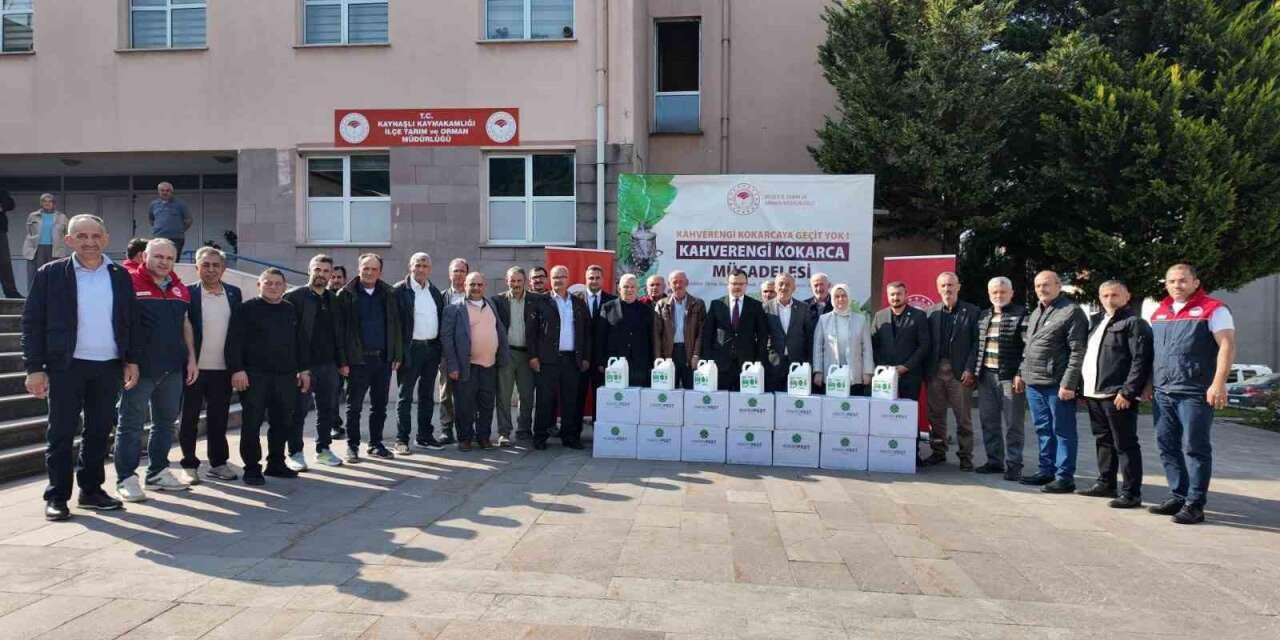 Fındık üretimini tehdit eden kokarcaya karşı önlem