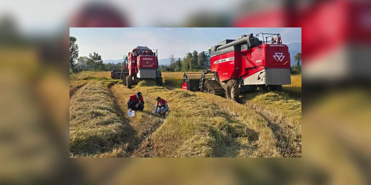 Düzce’de verimli hasat için biçerdöver denetimleri sürüyor