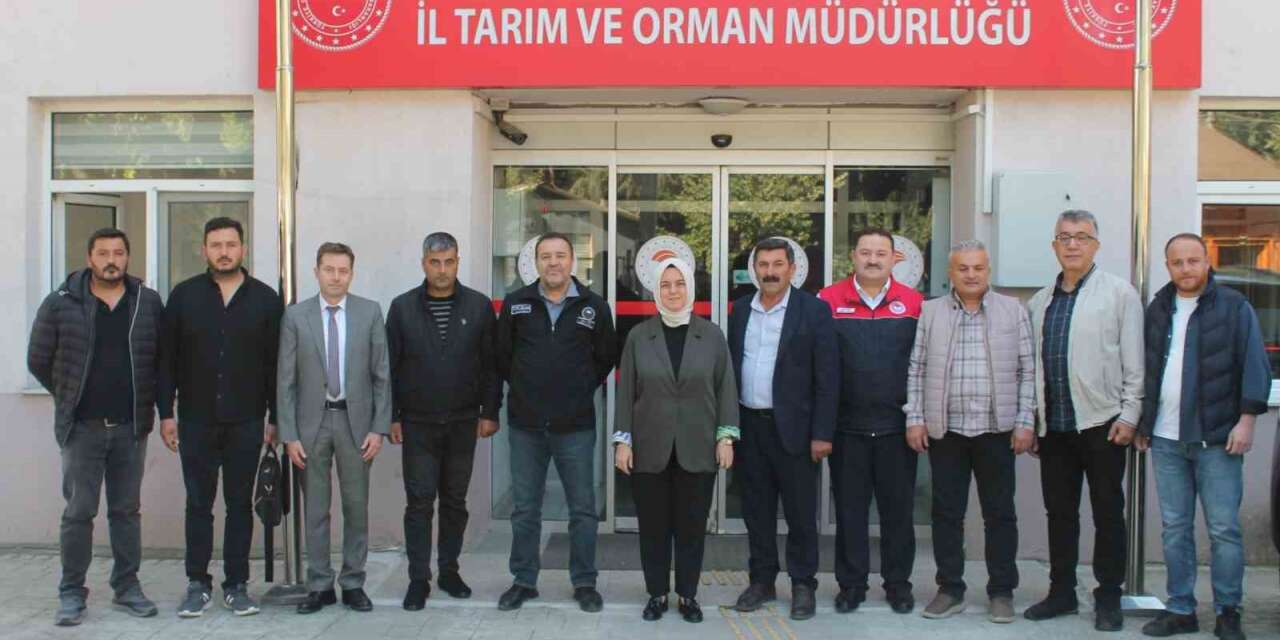 Anadolu Mandasının geleceği Düzce’de ele alındı