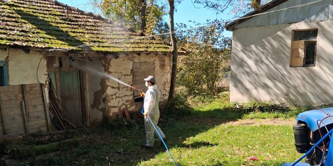 Düzce’de kahverengi kokarcaya karşı kışlak mücadelesi başladı