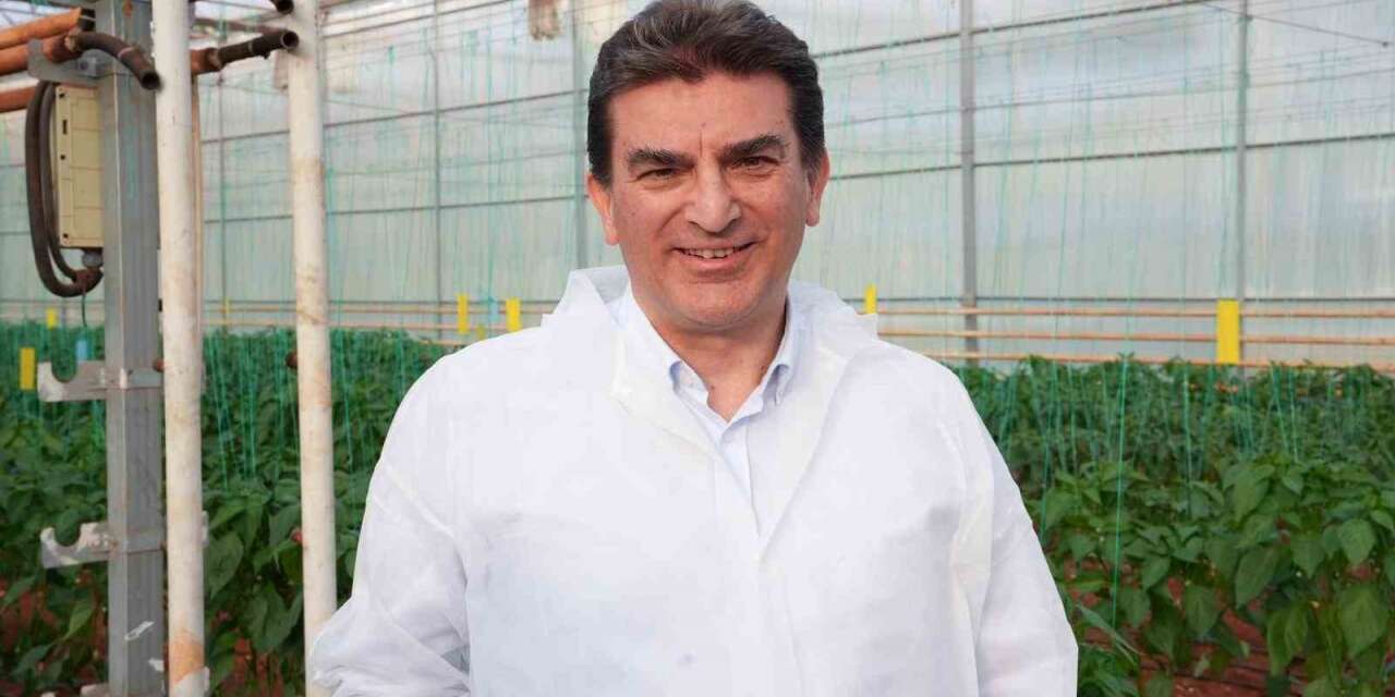 HEKTAŞ, tohum çeşitleri geliştirmeye odaklanıyor