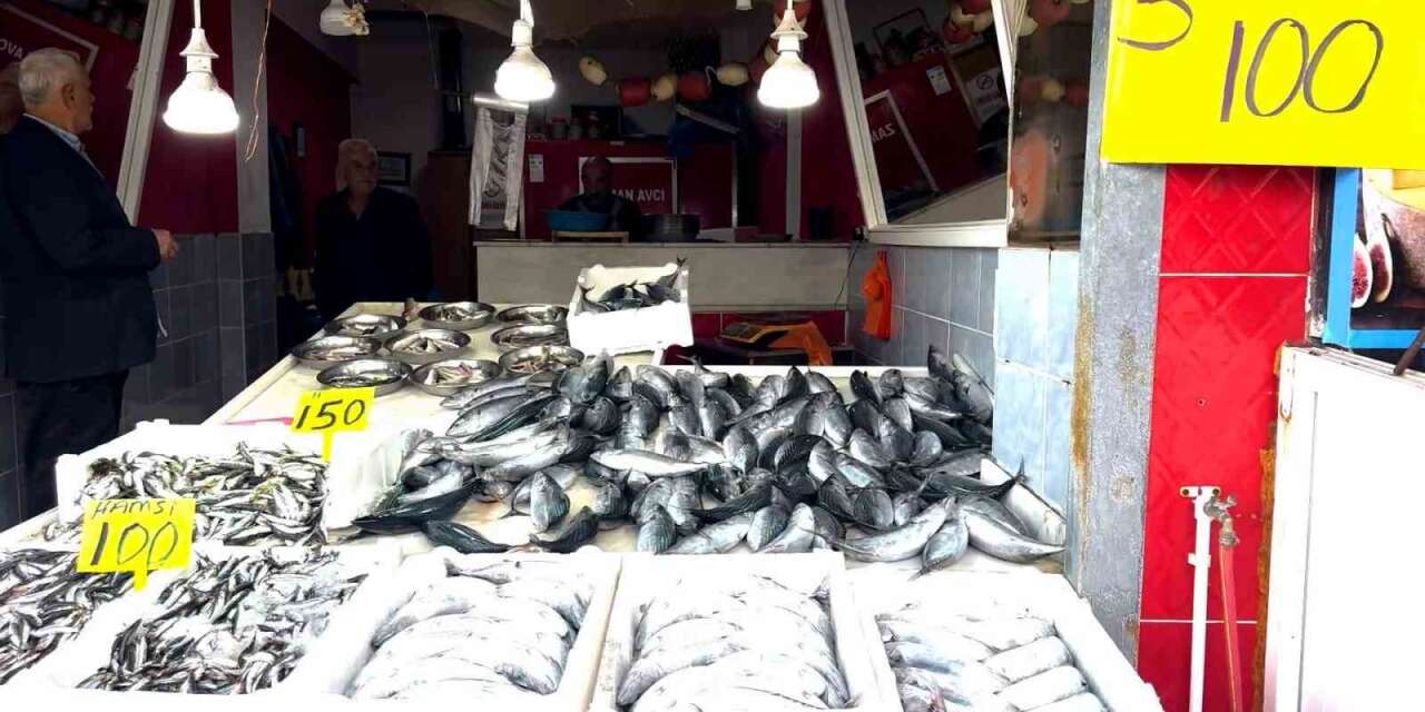 Rize’de palamutun 3 tanesi 100 TL’den satılıyor