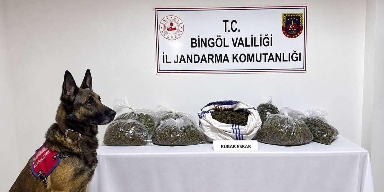 Bingöl’de jandarmadan bir haftada 25 olaya müdahale