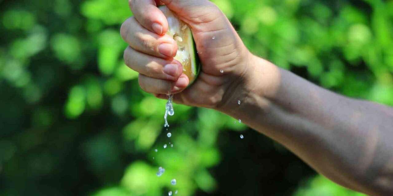 Karadeniz’de gemi trafiği durdu, Adana’da limon ve mandalina dalında kaldı