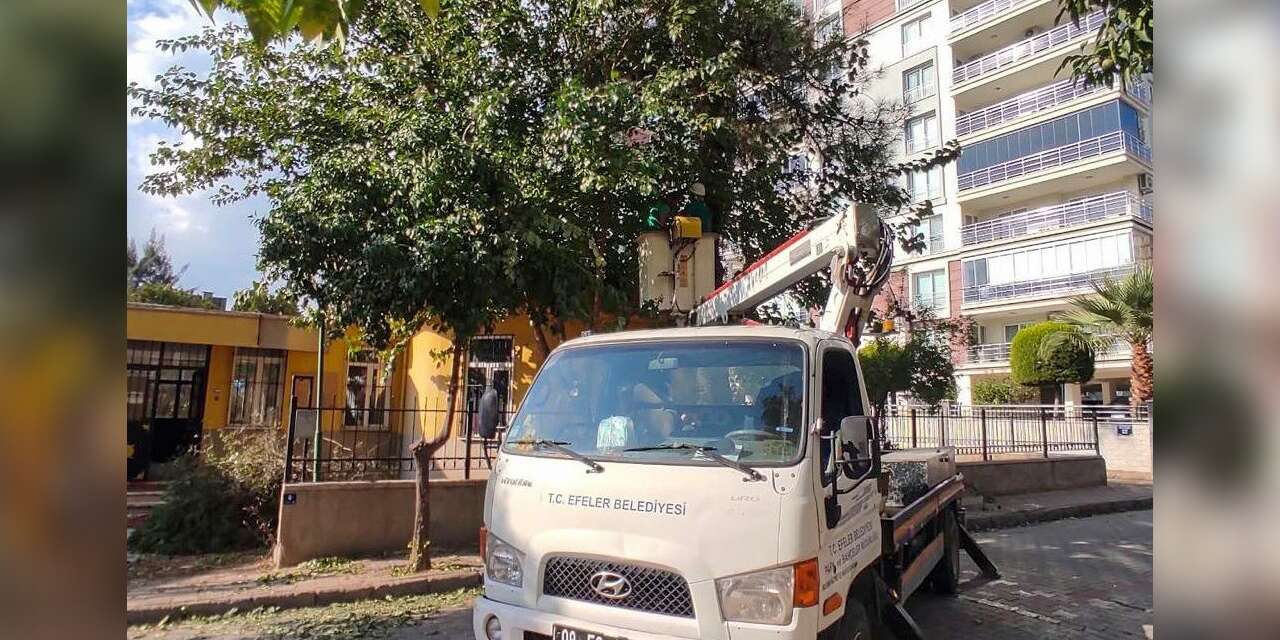 Efeler’de yeşil alanlara bakım