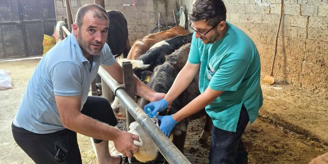 Beyşehir’de şap aşısı mesaisi sürüyor