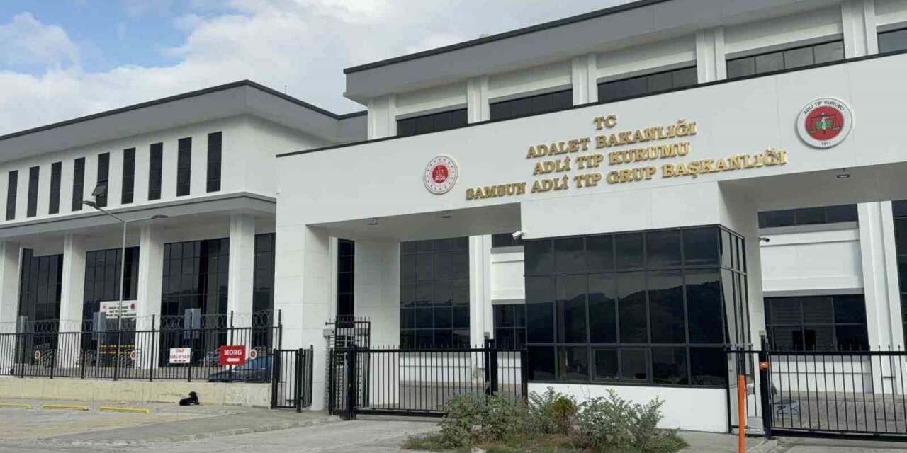 Dedesinin kullandığı aracın çarptığı 2,5 yaşındaki çocuk hayatını kaybetti