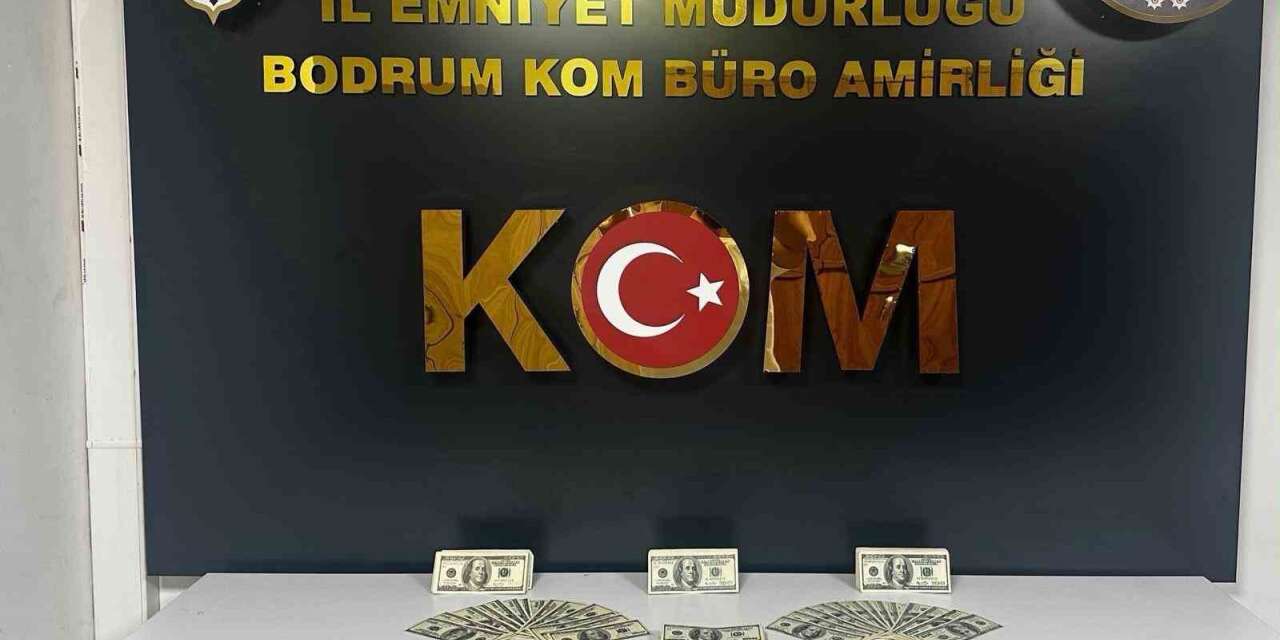 Bodrum’da sahte dolar operasyonu: 46 bin 200 dolar ele geçirildi