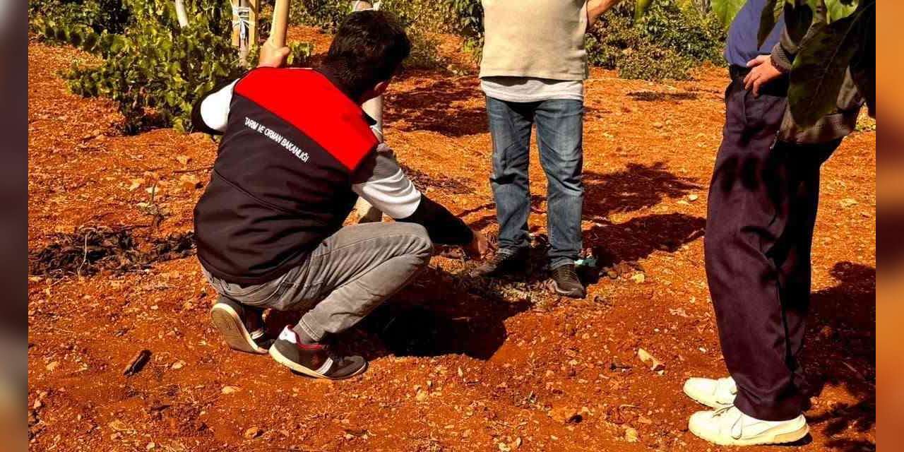 Bekilli’de üreticilere toprak analizi eğitimi verildi