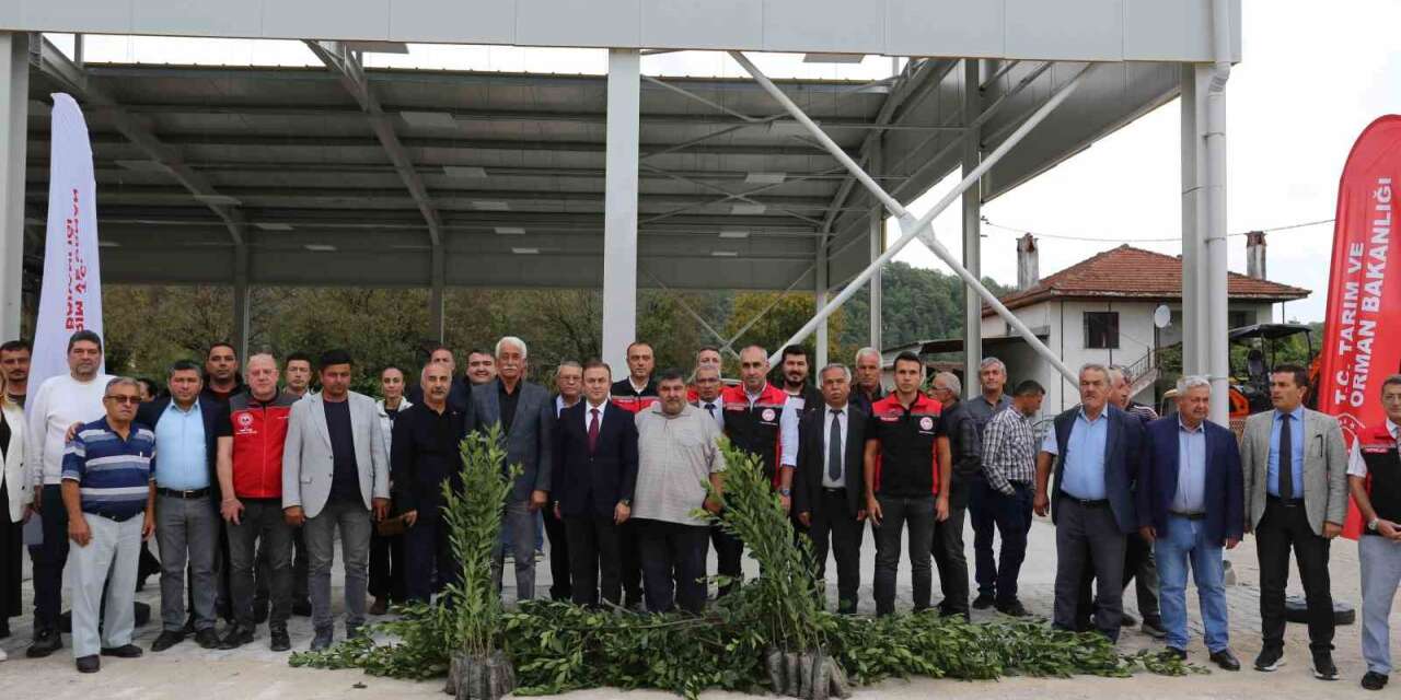 Muğla’da Defne ihracatından 75 milyon dolar bekleniyor