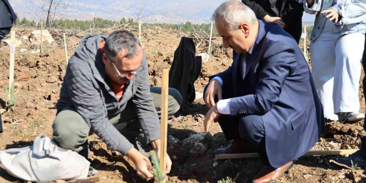 Karabük’te 250 fidan toprakla buluştu