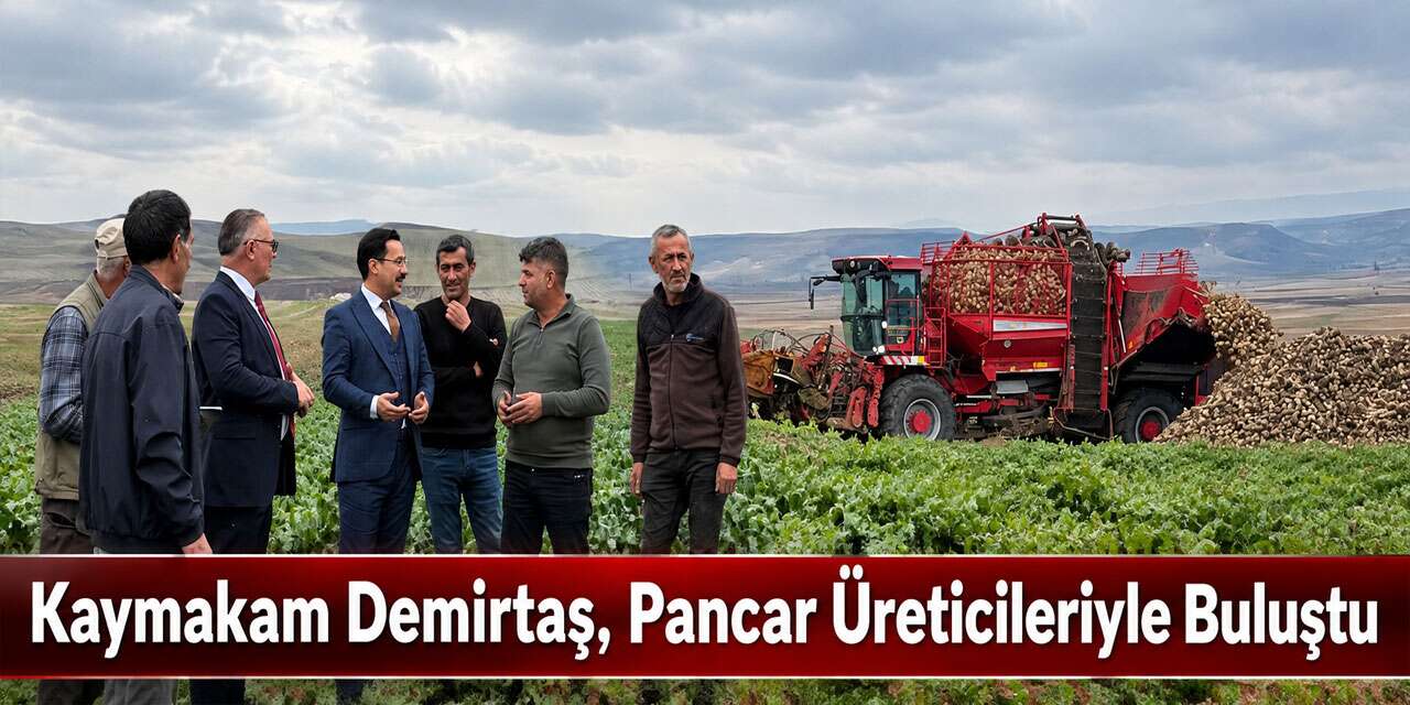 Akyaka Kaymakamı Demirtaş Şeker Pancarı Hasadına Katıldı