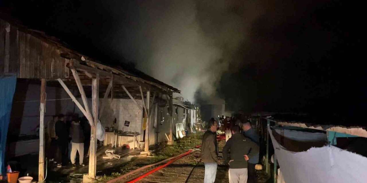 Bursa’da hayvan çiftliği alevlere teslim oldu