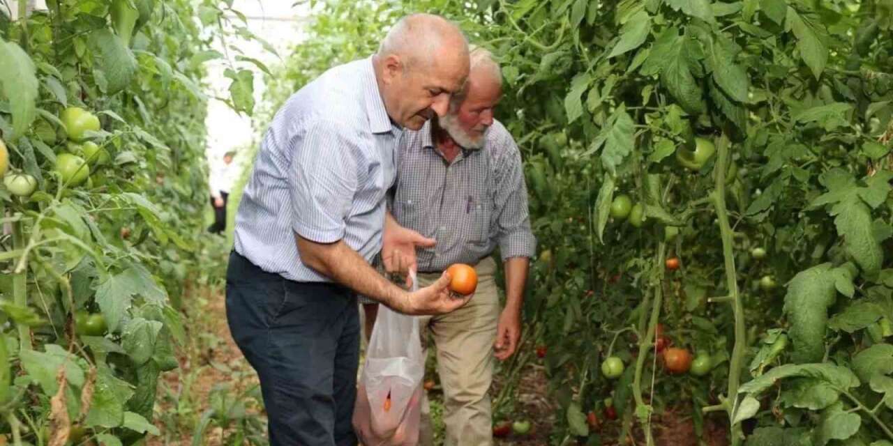 Gebze Belediyesinden çiftçilere tarımsal üretim desteği