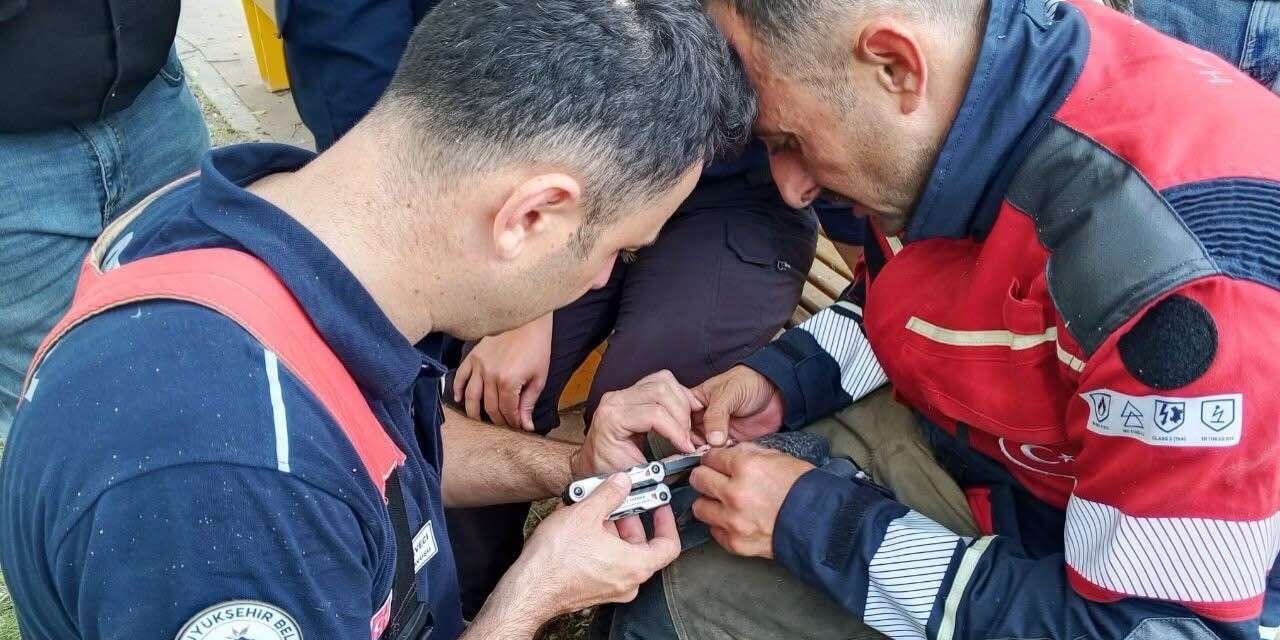 İskenderun’da ağaca takılan güvercin itfaiye ekiplerince kurtarıldı