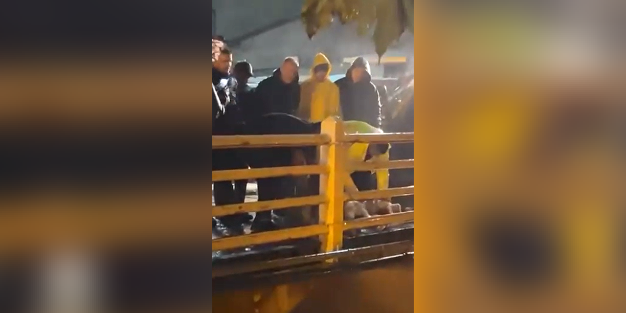 Yalova’da yağmurun durması için kurban kestiler