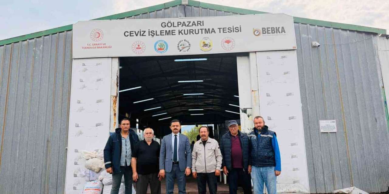 Bu tesiste yılda 400 ton ceviz kurutuluyor