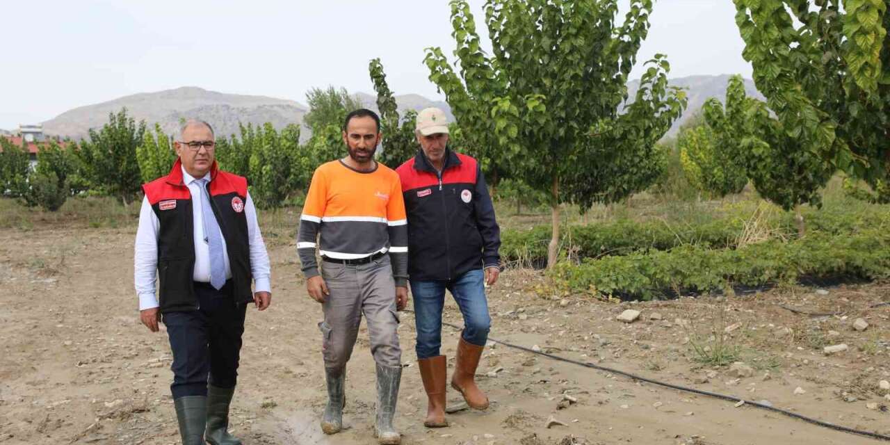Selden etkilenen işletmelerde hasat tespiti yapıldı