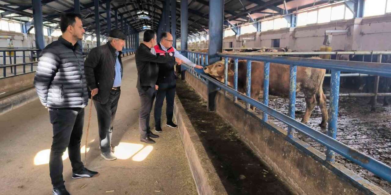 Bayburt’ta yüzde 50 hibe desteğiyle kurulan hayvancılık işletmesi incelendi