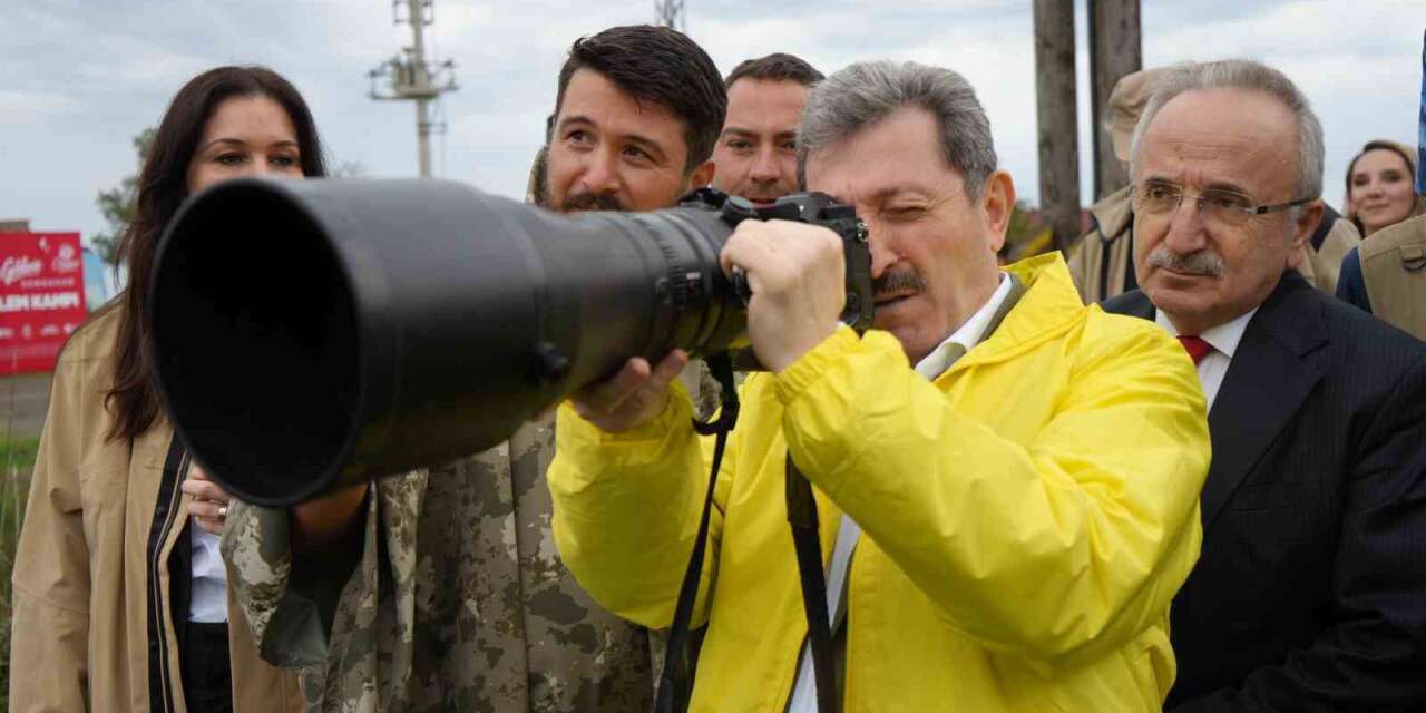 Kuş fotoğrafçıları, nadir türleri Samsun’da gözlemliyor
