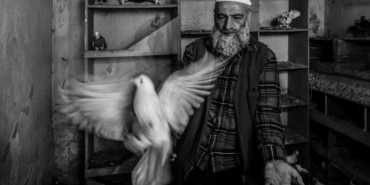 Ara Güler’in izinde Manisa imzası