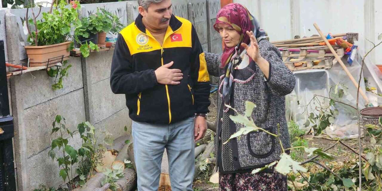 Evin üzerine devrilen ağaç kaldırıldı
