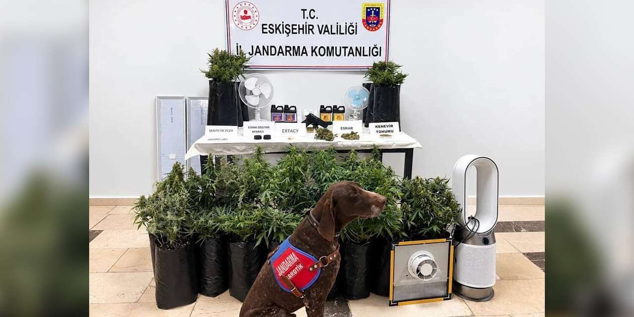 Eskişehir’de 21 poşet kenevir ve çok sayıda uyuşturucu madde jandarma tarafından ele geçirildi
