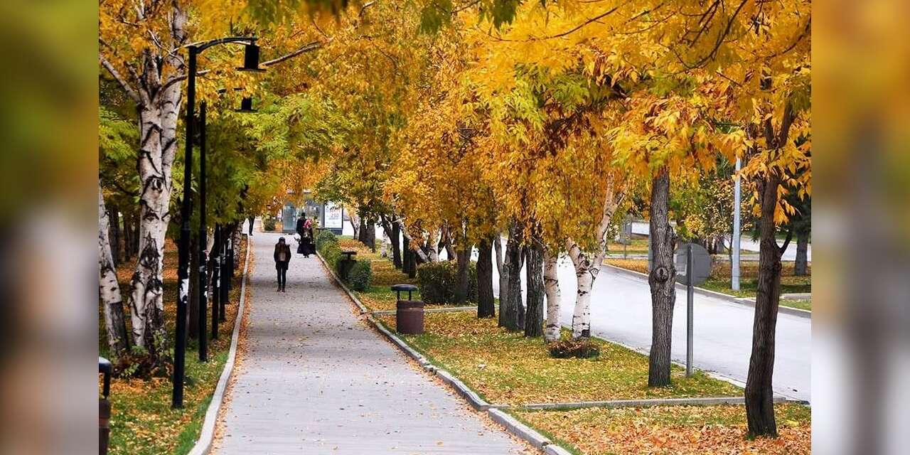 Doğu’da sağanak yağış uyarısı