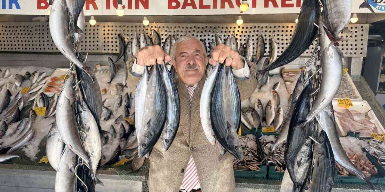 Palamutta bereket, kilosu 100 TLl’ye düştü