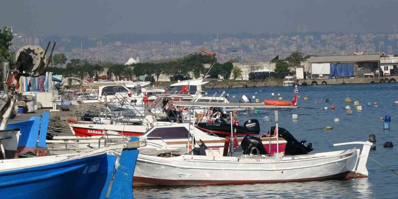 Karadeniz’de palamut alarmı: "Önüne ne gelirse yiyor, bir an önce hepsinin tutulması gerekiyor"
