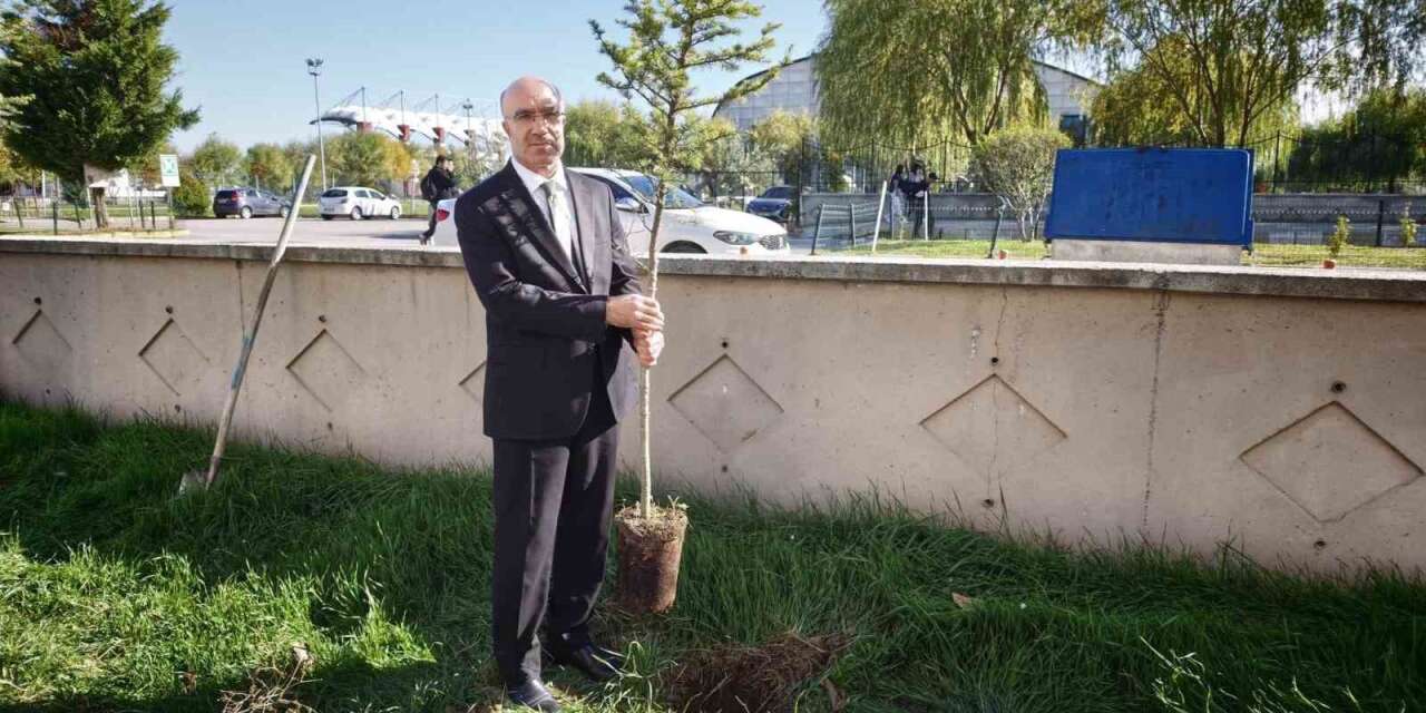 Başmakçı’da evcil hayvanlar kimliklendiriliyor
