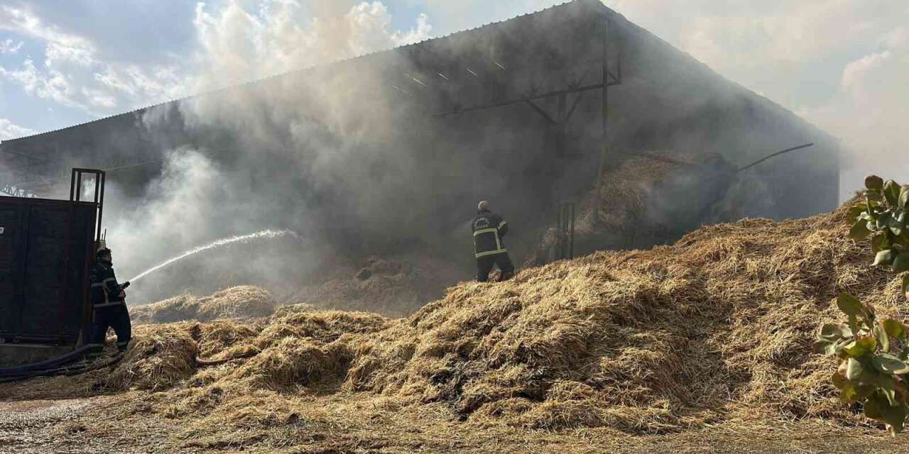 Gaziantep’te çiftlikte yangın