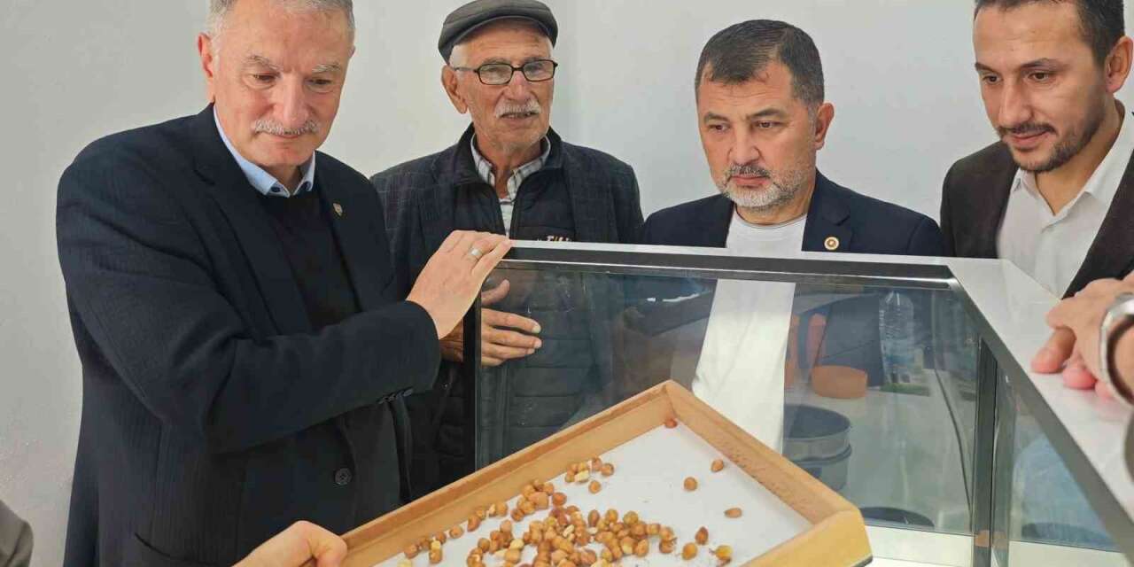 Fındık alım çalışmaları yerinde incelendi