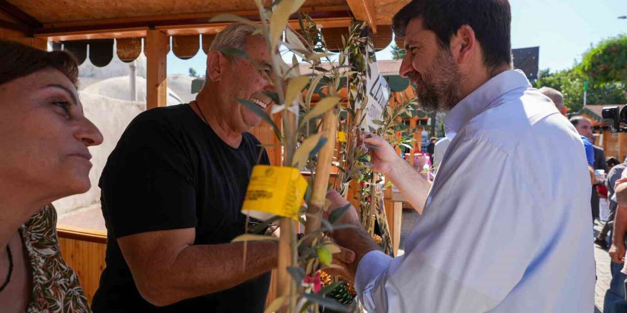 3. Uluslararası Tarsus Sarıulak Zeytin Festivali başladı