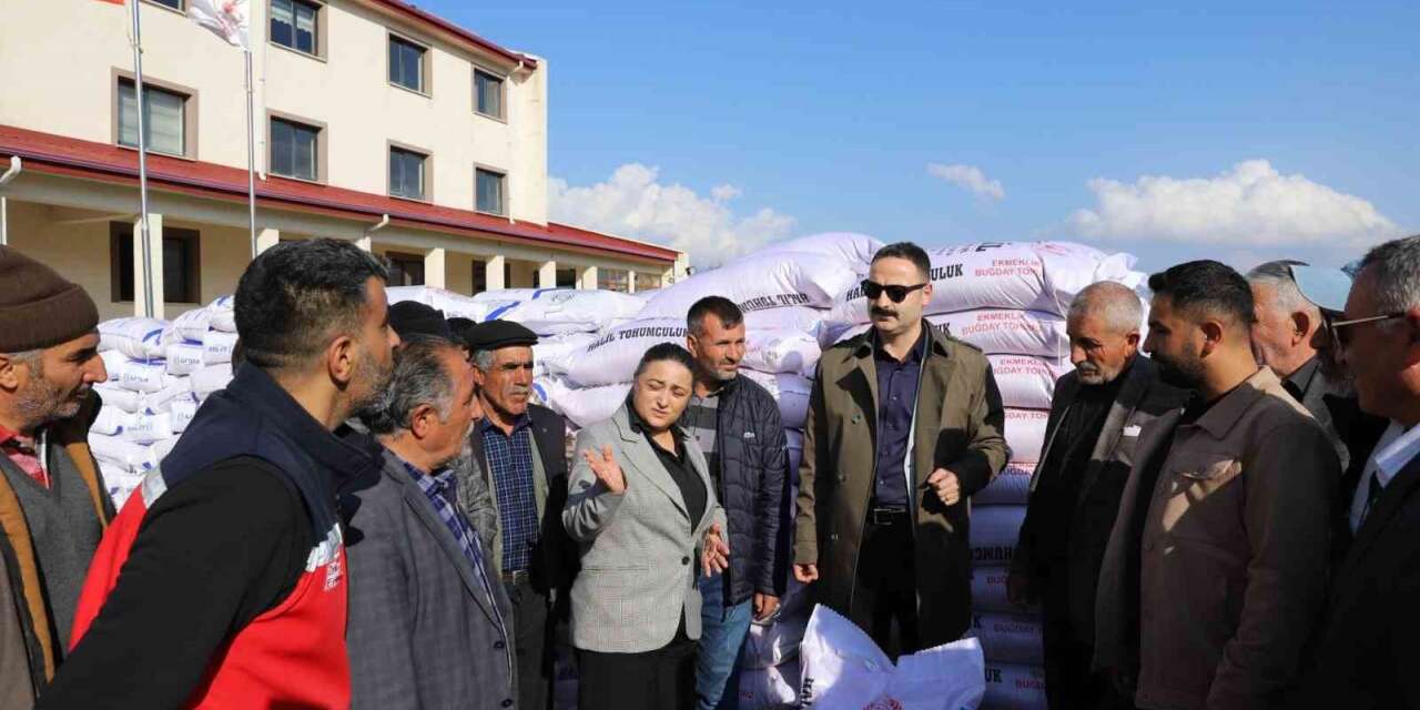Doğubayazıt’ta çiftçilere 20 ton buğday tohumu dağıtıldı