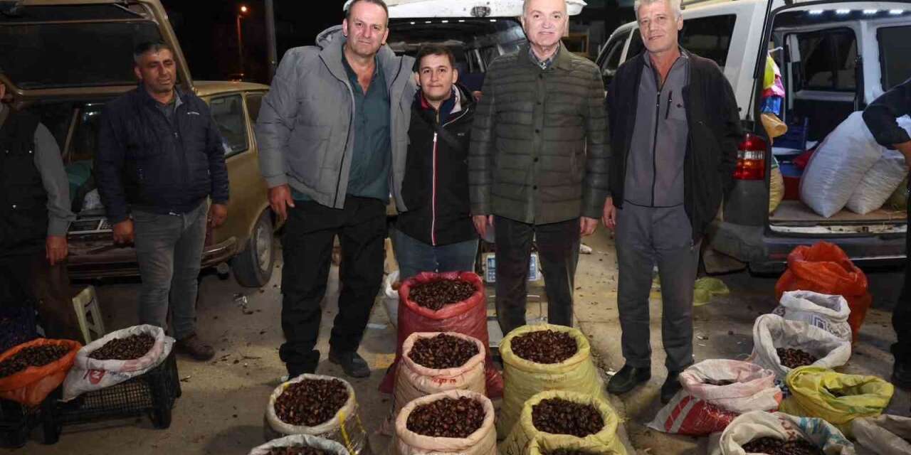 Düzce’de kuzu kestanesi pazarına davet