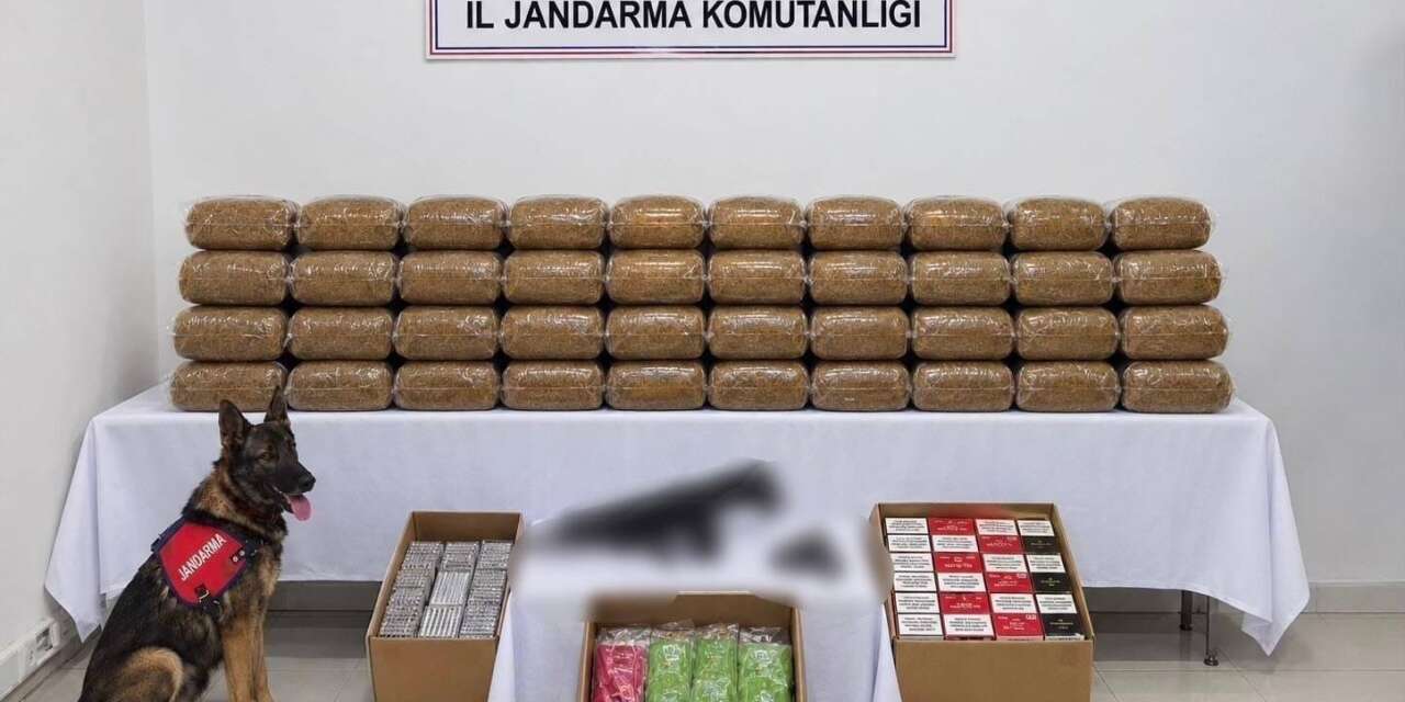 Bingöl’de kesinleşmiş hapis cezası bulunan 4 şüpheli yakalandı