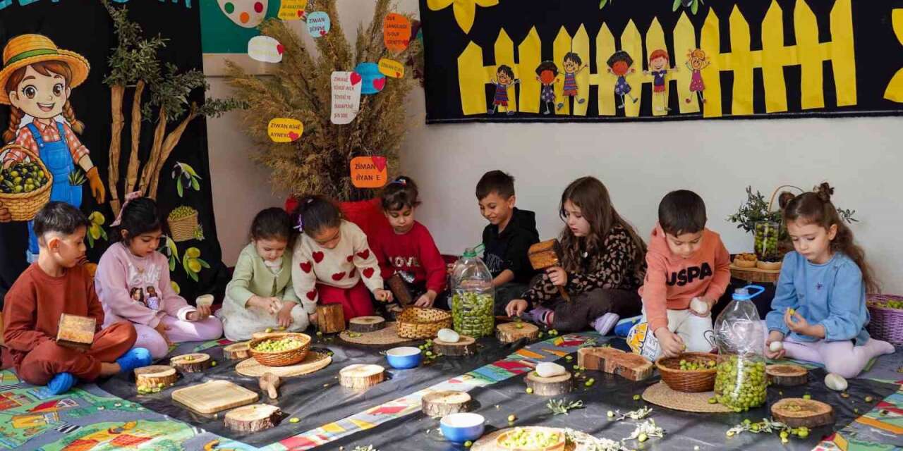 Çocuklar zeytin kırdı, geleneksel üretimle tanıştı