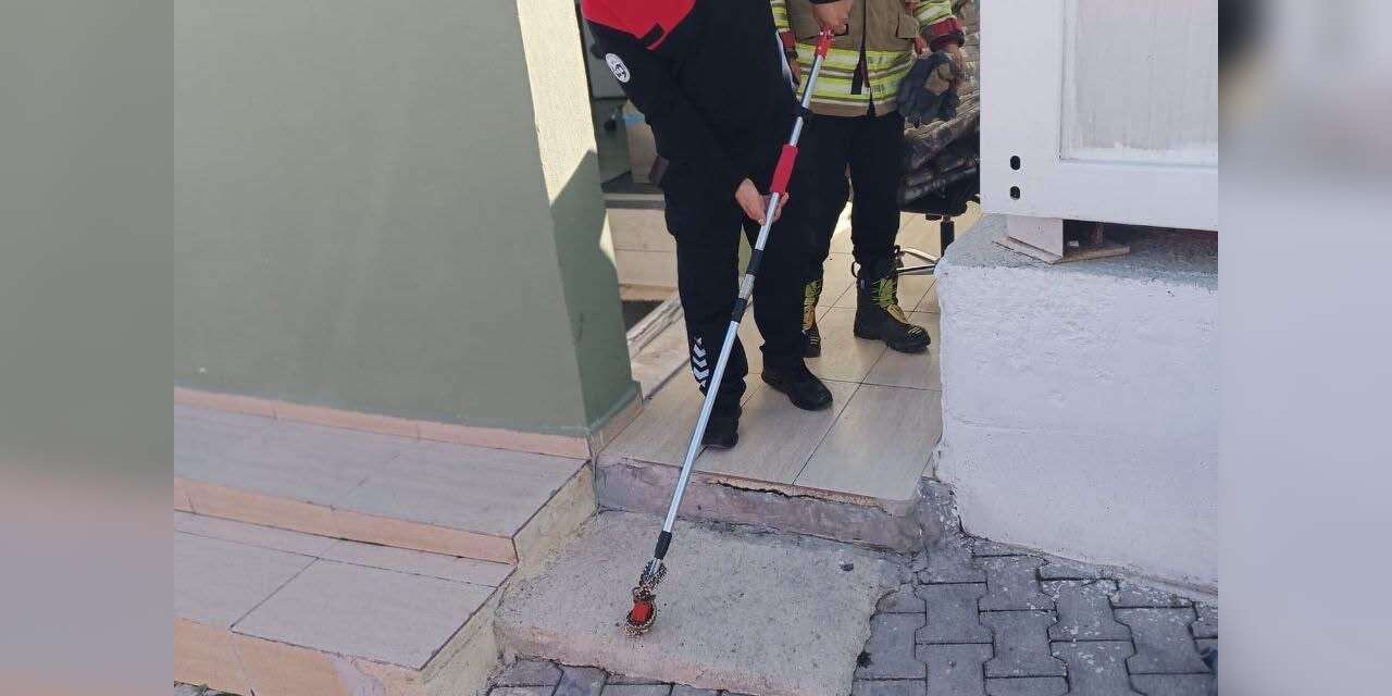Yayladağı’nda yerleşim yerinde görülen yılan doğaya bırakıldı