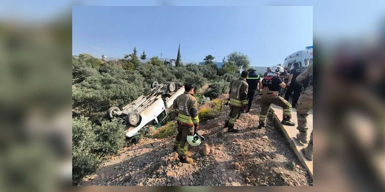 Zeytinliğe uçan kamyonetin sürücüsü yaralandı