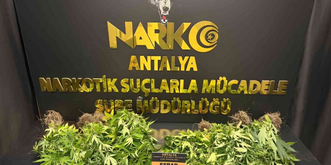 Antalya’da 32 operasyonda 28 bin 519 sentetik ecza ele geçirildi