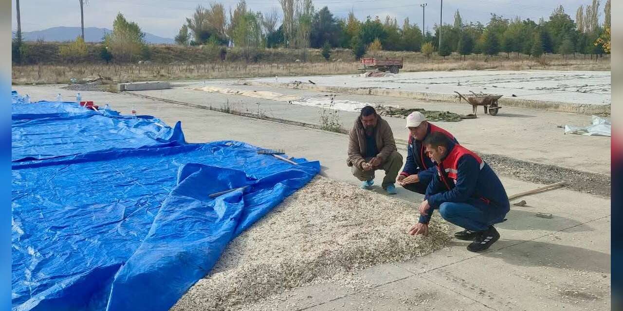 Çay’da kabak çekirdeği ve elma üreticilerine saha ziyareti