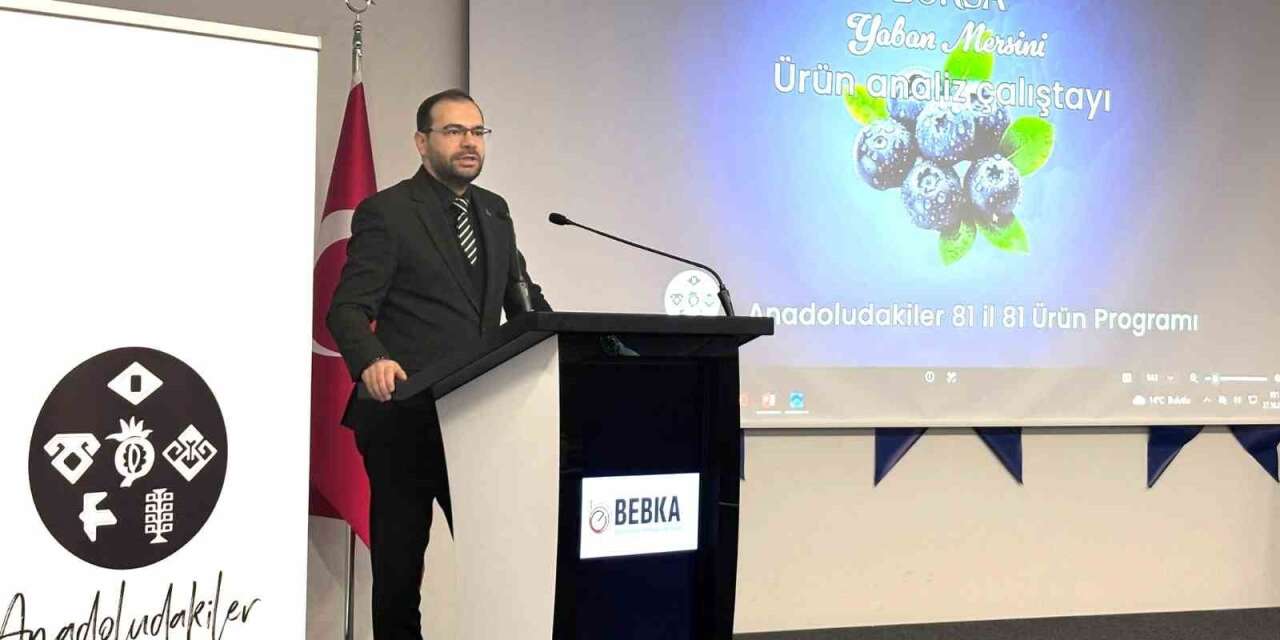 Bursa’nın yaban mersini için yol haritası paydaşlarla çiziliyor