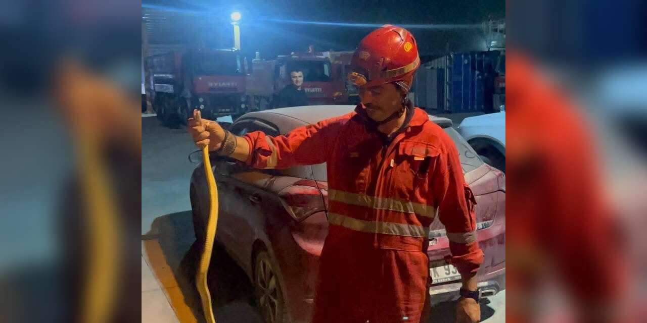 Antakya’da aracın içinde görülen yılan yakalandı