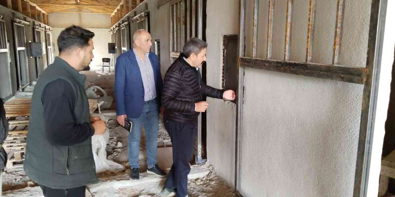 36 Atlık Barınak Projesi’nde çalışmalar devam ediyor