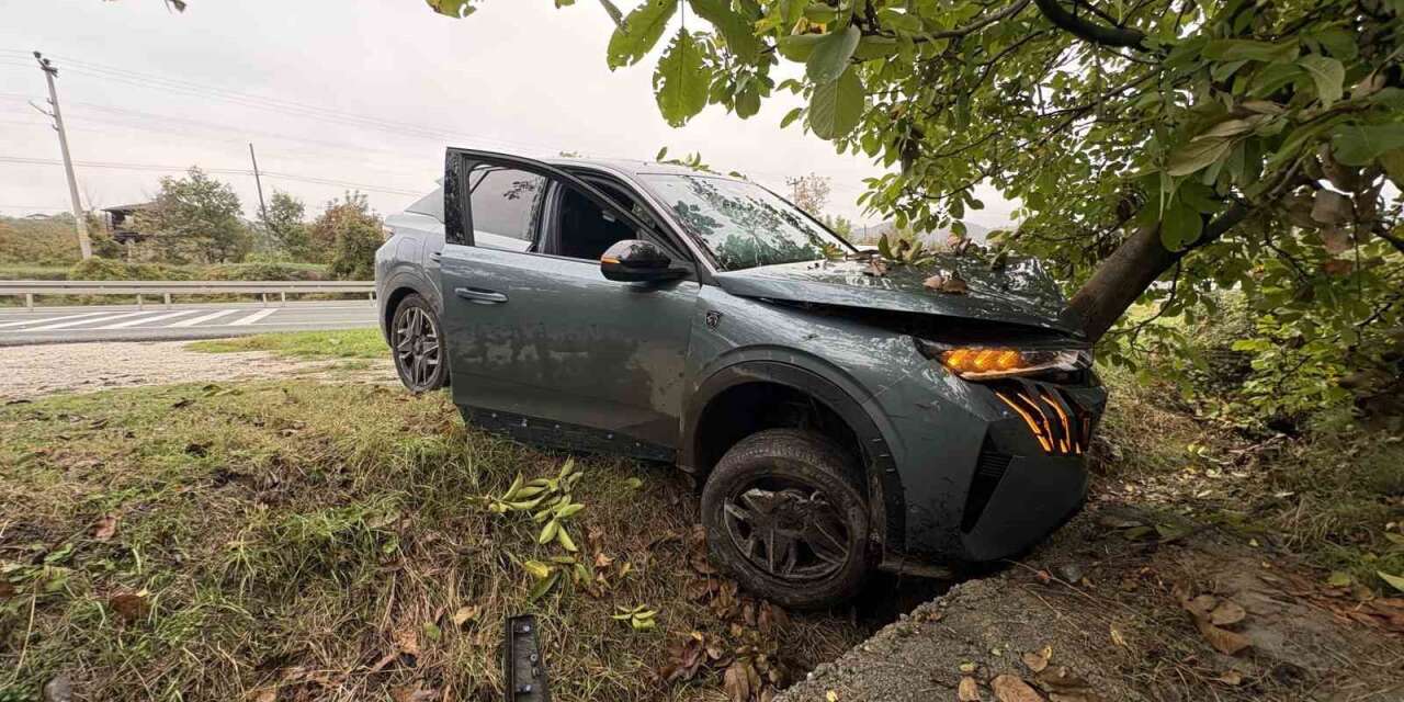 Kastamonu’da cip hafif ticari araç ve ağaca çarptı: 1 yaralı